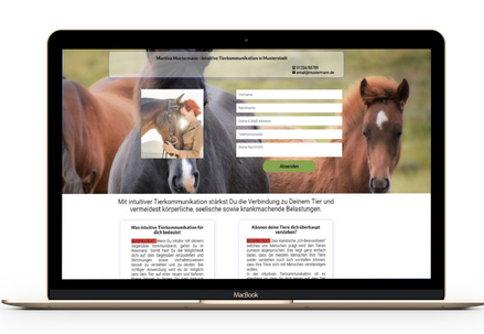 Dein perfekter Online Auftritt